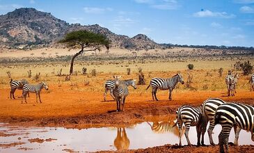 ZANZİBAR RÜYASI & AFRİKA SAFARİ MACERASI