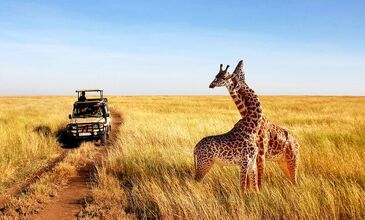 ZANZİBAR RÜYASI & AFRİKA SAFARİ MACERASI