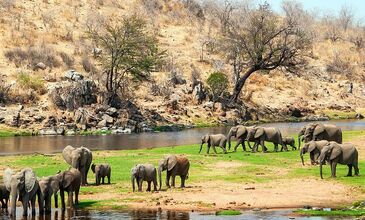 ZANZİBAR RÜYASI & AFRİKA SAFARİ MACERASI